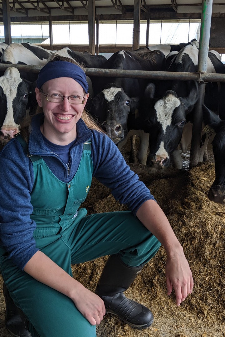 vet kneeling in front of cows